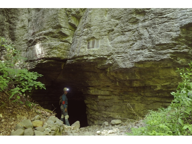Schoharie Caverns Nature Preserve