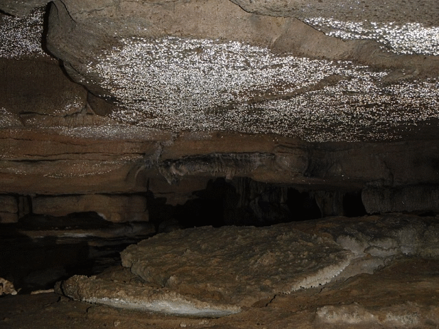 Wells Cave Nature Preserve